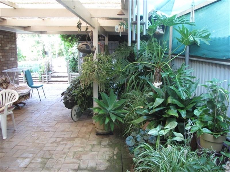 97 Kay Avenue, Berri SA 5343