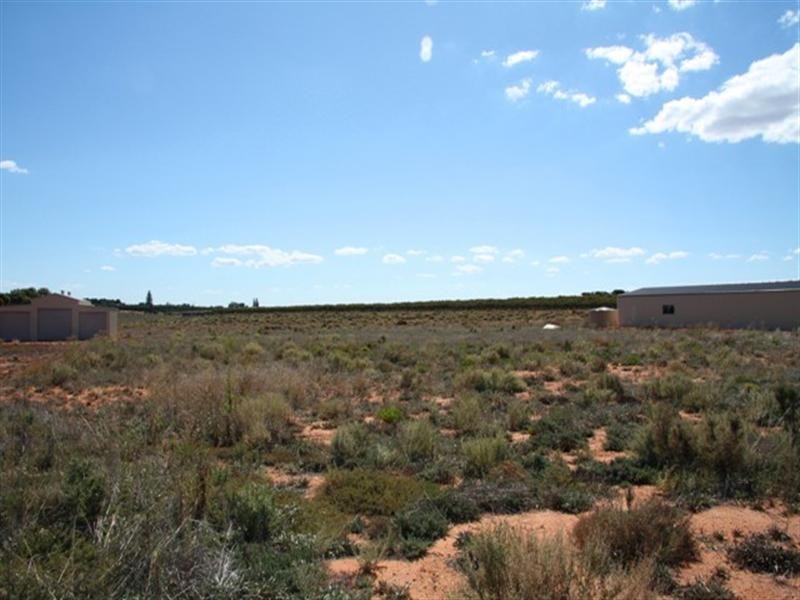 Lt 13 Fairweather Avenue, Loxton SA 5333