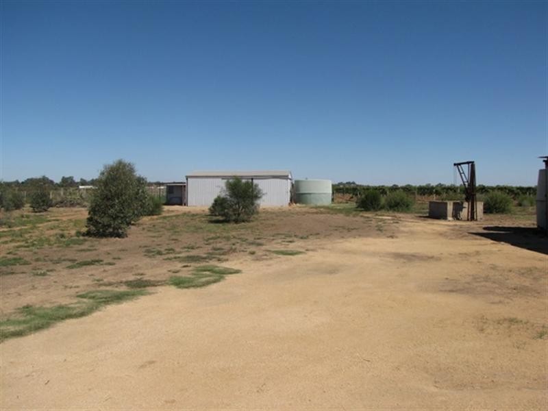 Lot 9 McFarlanes Lane, Cobdogla SA 5346