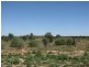 Lot 9 McFarlanes Lane, Cobdogla SA 5346