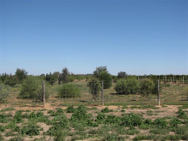 Lot 9 McFarlanes Lane, Cobdogla SA 5346