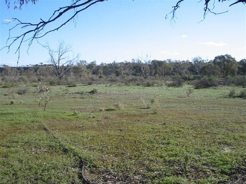 Lot 372 Scott Creek, Morgan SA 5320
