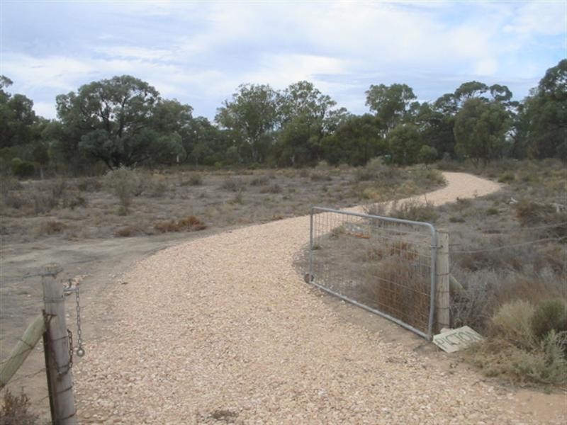 Lot 372 Scott Creek, Morgan SA 5320
