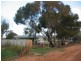 434 and 818 Hoffman Road, Barmera SA 5345