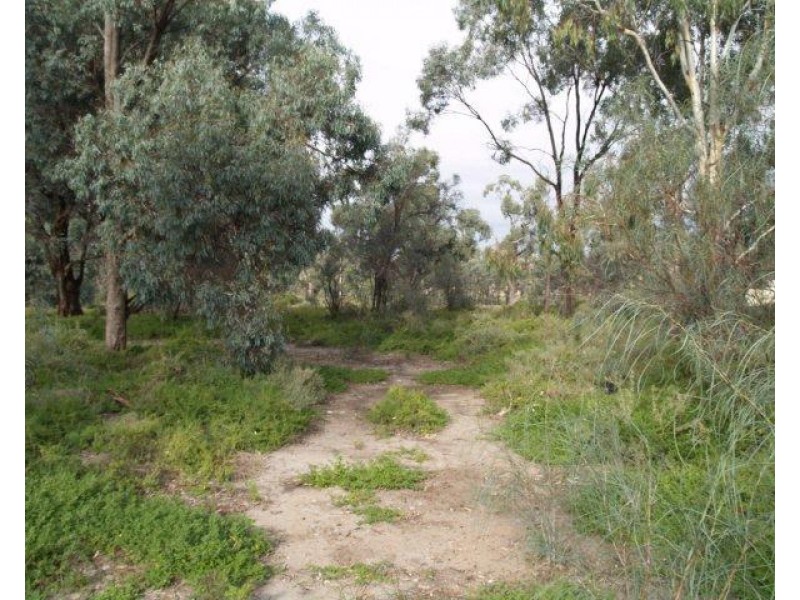 64 Page Drive, Blanchetown SA 5357