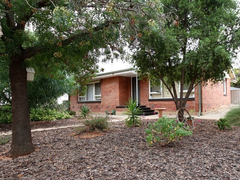 8 Tipper Street, Berri SA 5343