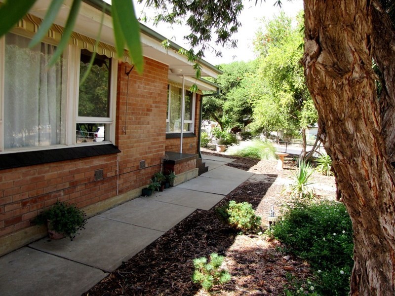 8 Tipper Street, Berri SA 5343