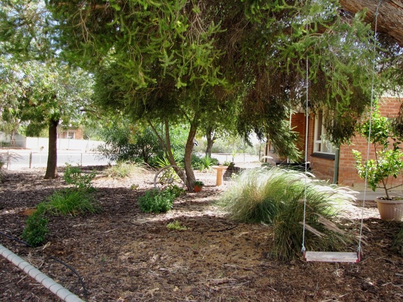 8 Tipper Street, Berri SA 5343