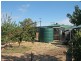 49 Wodonga Avenue, Loxton SA 5333