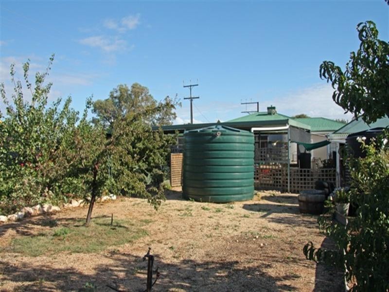 49 Wodonga Avenue, Loxton SA 5333