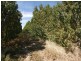 74 Kibby Road, Loxton SA 5333