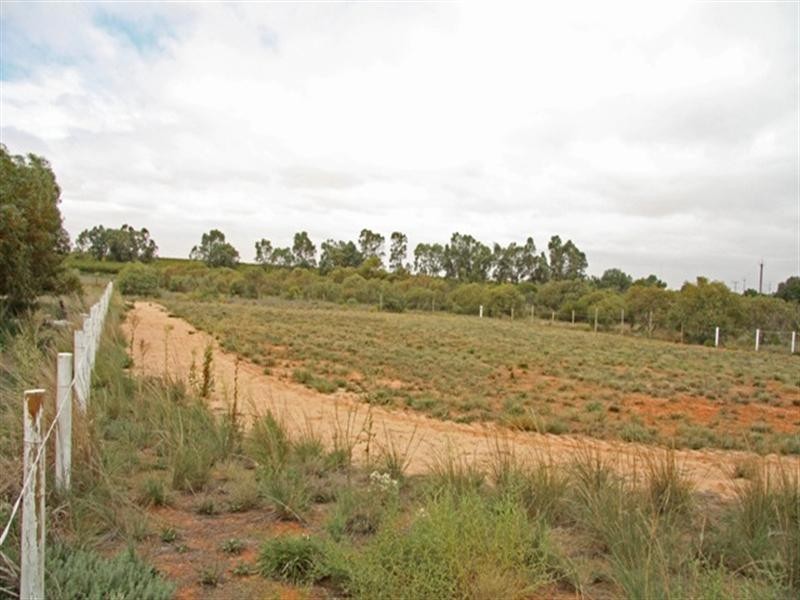 573 Anderson Road, Loxton North SA 5333
