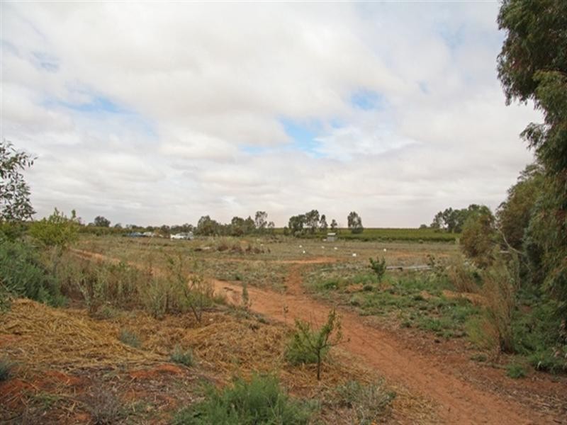 573 Anderson Road, Loxton North SA 5333