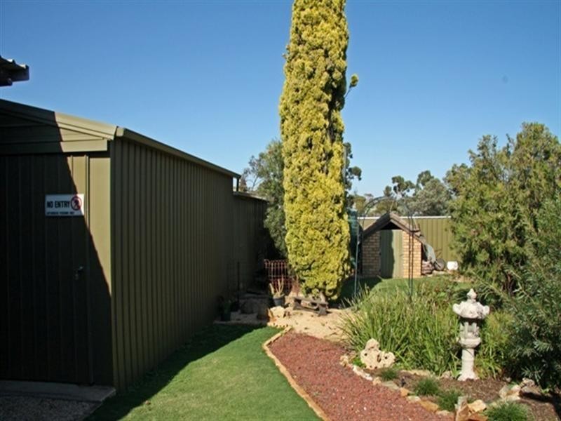 16 Hall Crescent, Loxton SA 5333