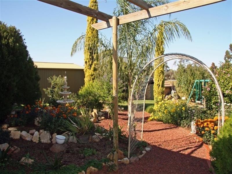 16 Hall Crescent, Loxton SA 5333