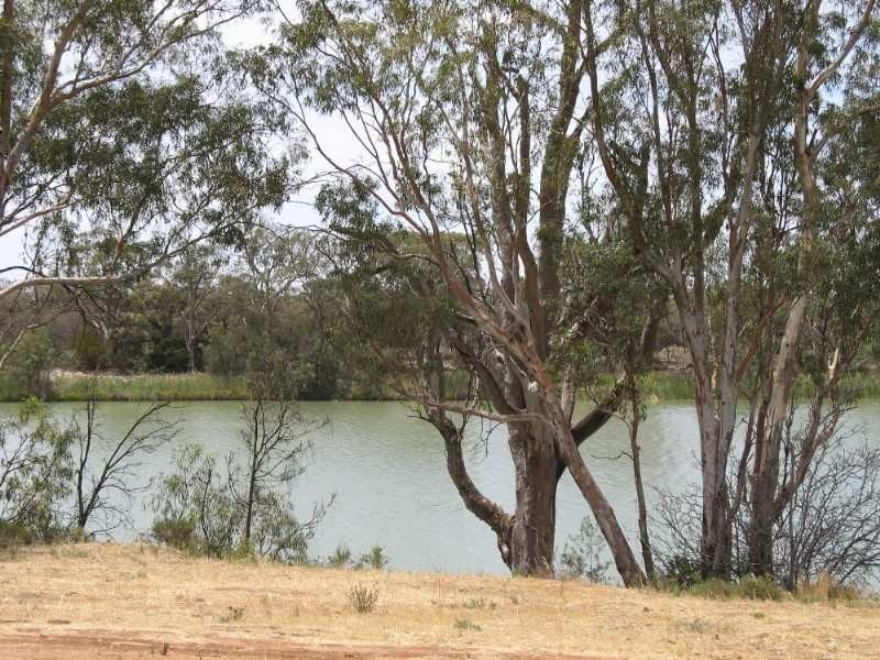 1 Fenwick Road, Berri SA 5343