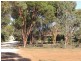 3078 Kingston Road, Loxton SA 5333