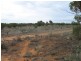 Lot 20 Davis Road, Berri SA 5343