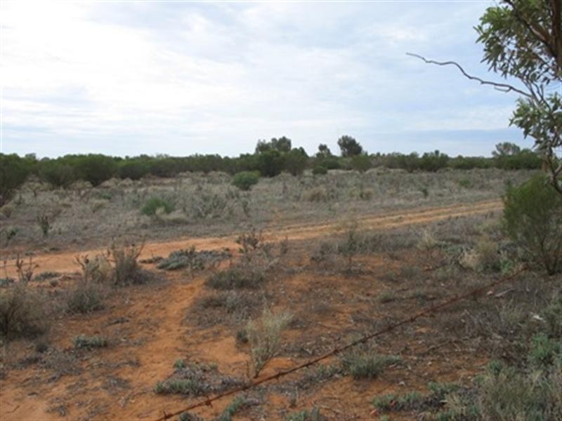 Lot 20 Davis Road, Berri SA 5343