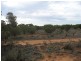 Lot 20 Davis Road, Berri SA 5343