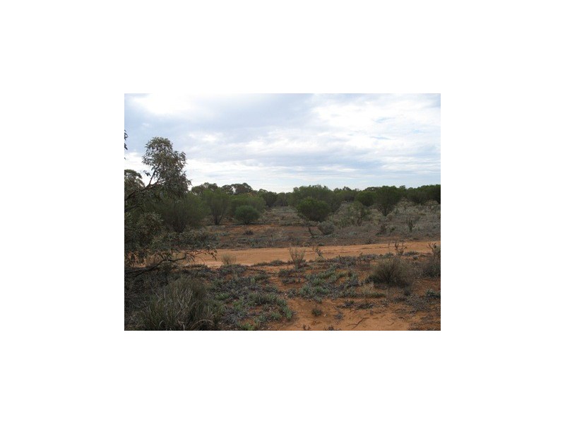 Lot 20 Davis Road, Berri SA 5343