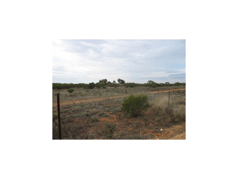 Lot 20 Davis Road, Berri SA 5343