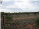 Lot 20 Davis Road, Berri SA 5343