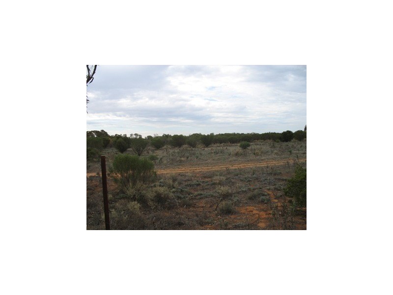 Lot 20 Davis Road, Berri SA 5343