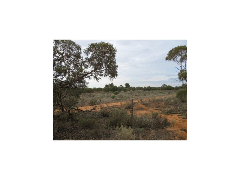 Lot 20 Davis Road, Berri SA 5343