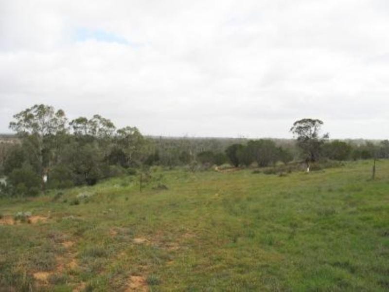 Lot 7 Proud Avenue, Loxton SA 5333