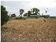 9 Rider Street, Blanchetown SA 5357