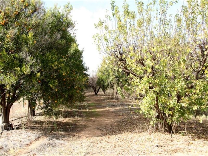 26 Anderson Road, Loxton North SA 5333