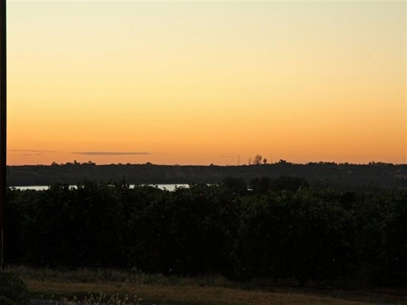 234 Virgo Road, Waikerie SA 5330