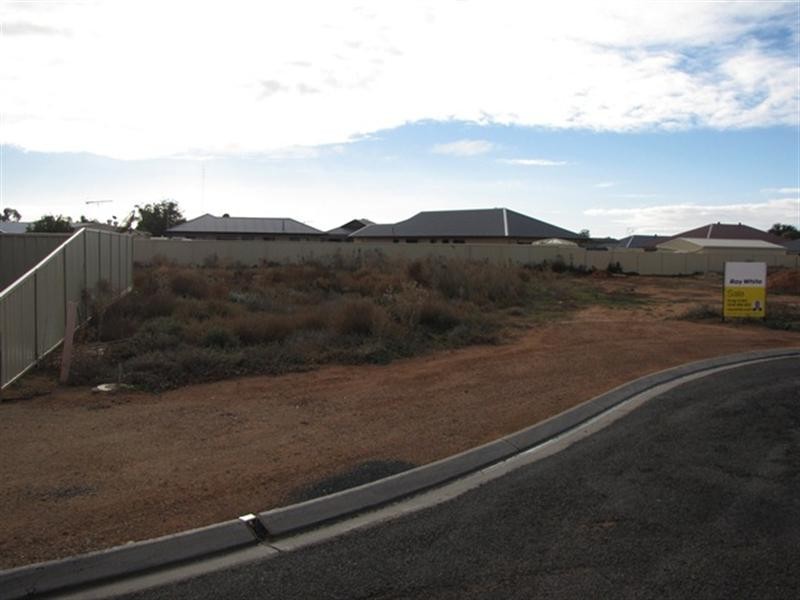 2 Wills Court, Barmera SA 5345