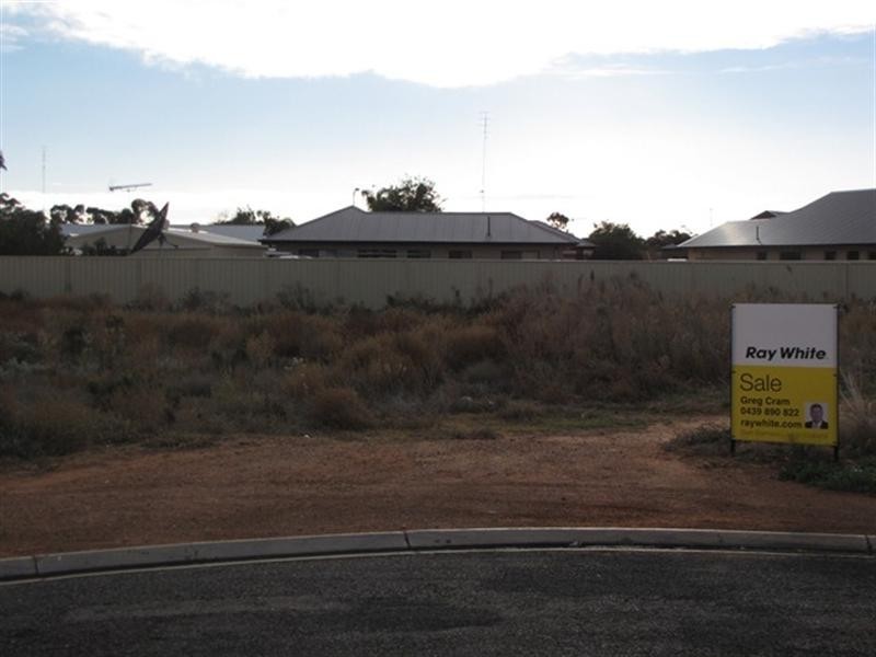 2 Wills Court, Barmera SA 5345