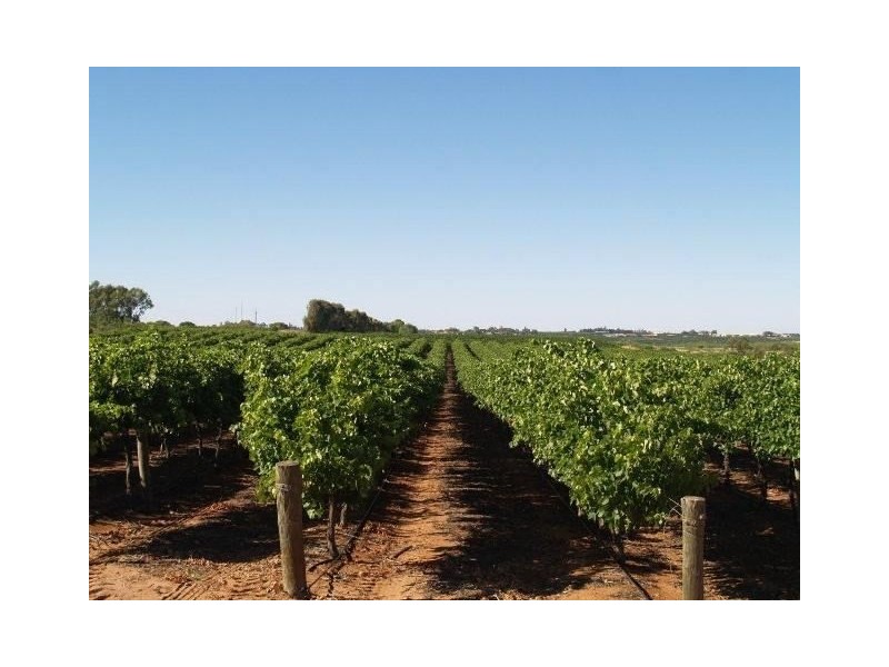 2 TULUNKA CREEK, Waikerie SA 5330