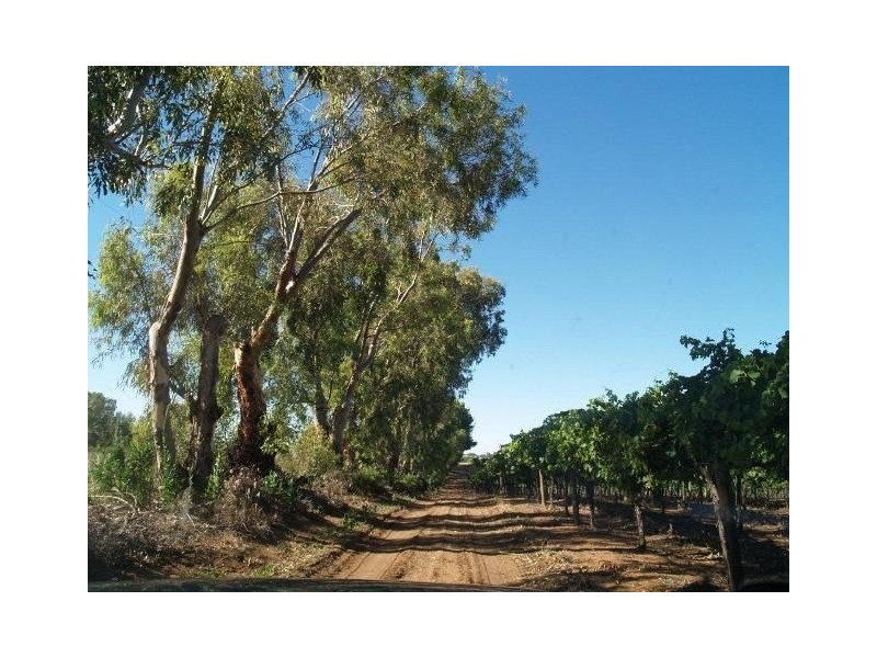 2 TULUNKA CREEK, Waikerie SA 5330