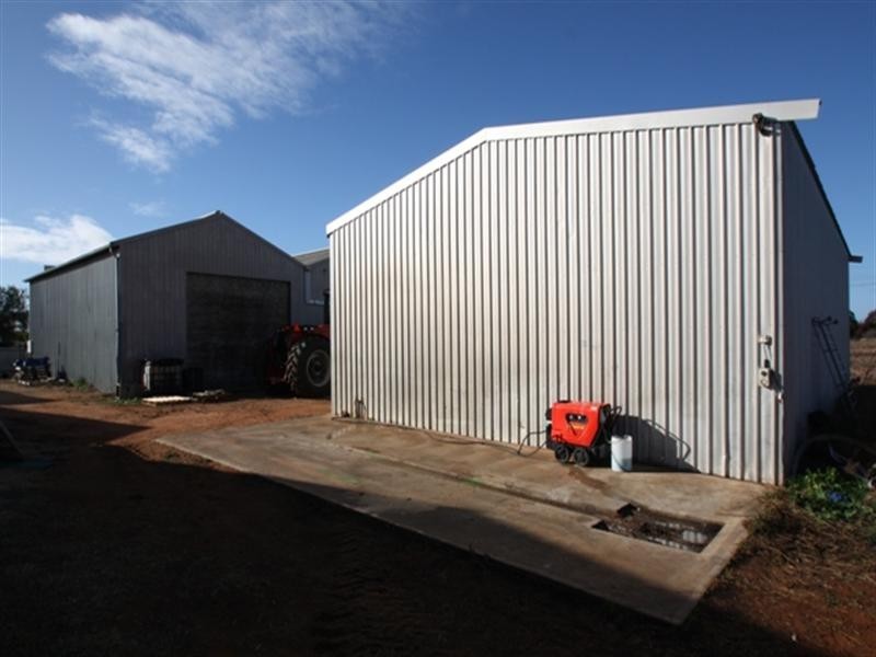 165 Paruna Road, Loxton SA 5333