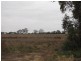 Lt 38/2 and 3 Brown Street, Lyrup SA 5343