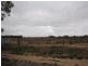 Lt 38/2 and 3 Brown Street, Lyrup SA 5343