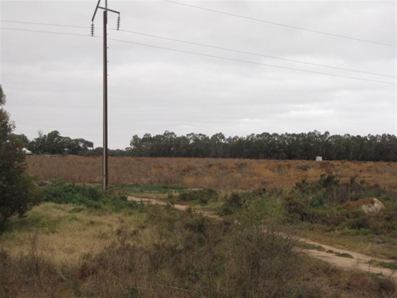 Lt 38/2 and 3 Brown Street, Lyrup SA 5343