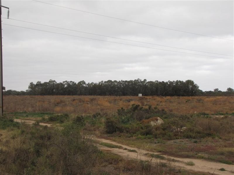 Lot 38 Brown Street, Lyrup SA 5343