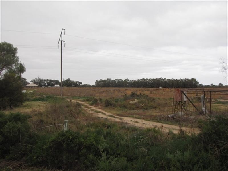 Lot 38 Brown Street, Lyrup SA 5343