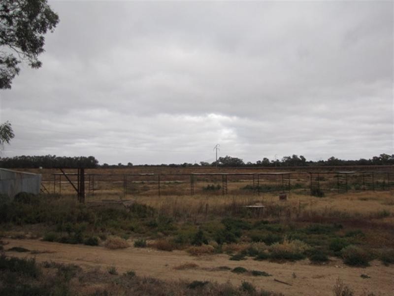 Lot 38 Brown Street, Lyrup SA 5343