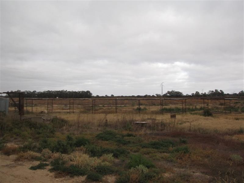Lot 38 Brown Street, Lyrup SA 5343
