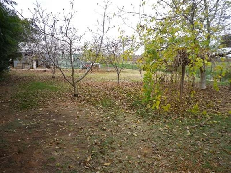 247 Gordon Road, Loveday SA 5345