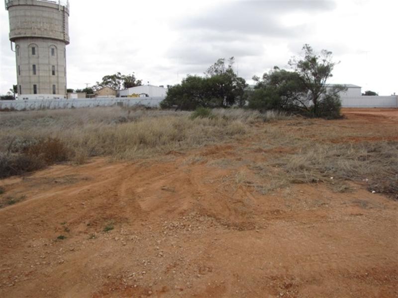 4 McBride Street, Barmera SA 5345