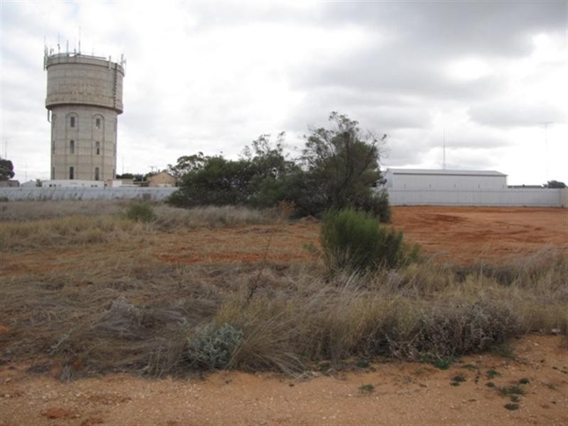 4 McBride Street, Barmera SA 5345