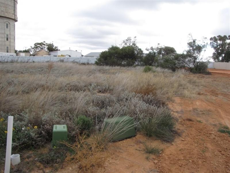 4 McBride Street, Barmera SA 5345