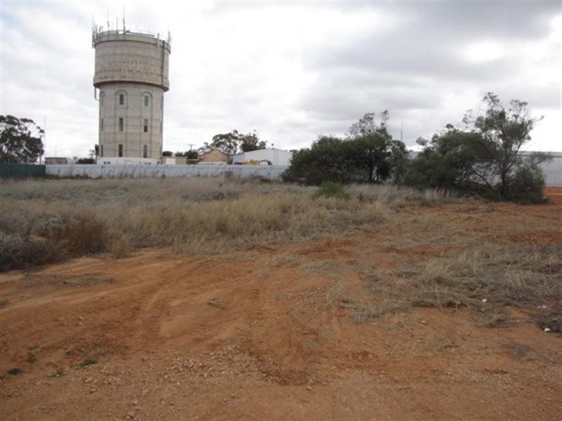 4 McBride Street, Barmera SA 5345